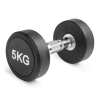 Гантель неразборная круглая 5 кг. VictoryFit VF-R050