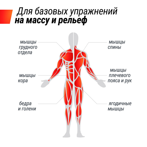 Штанга UNIX Fit регулируемая многофункциональная 3 в 1 (24 кг)