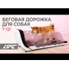 Беговая дорожка Yesoul для собак