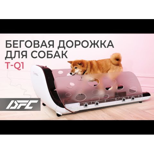 Беговая дорожка Yesoul для собак