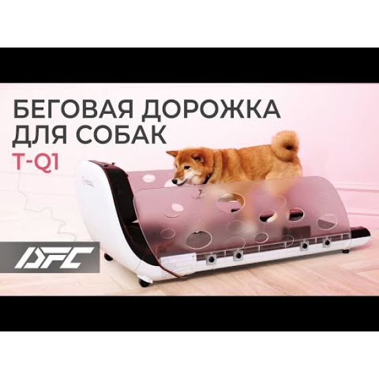 Беговая дорожка Yesoul для собак