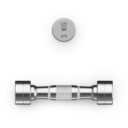 Гантель UNIX Fit PRO круглая хромированная 1 кг, 2 шт.