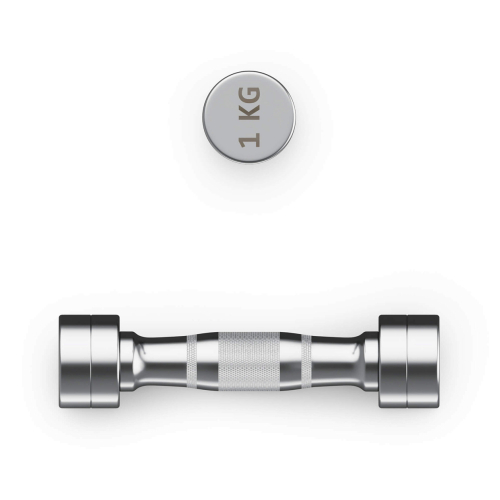 Гантель UNIX Fit PRO круглая хромированная 1 кг, 2 шт.
