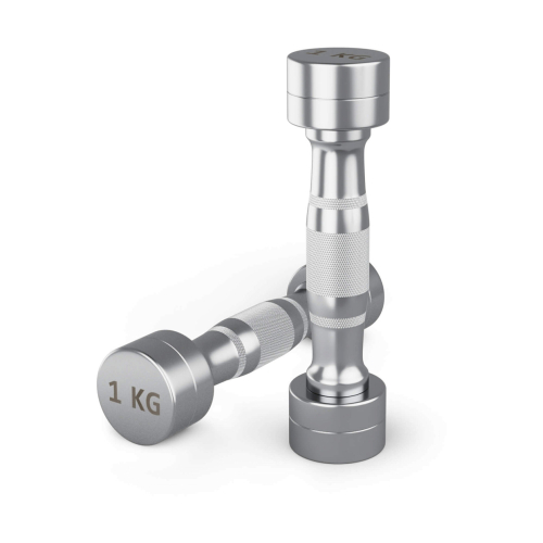 Гантель UNIX Fit PRO круглая хромированная 1 кг, 2 шт.