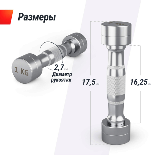 Гантель UNIX Fit PRO круглая хромированная 1 кг, 2 шт.