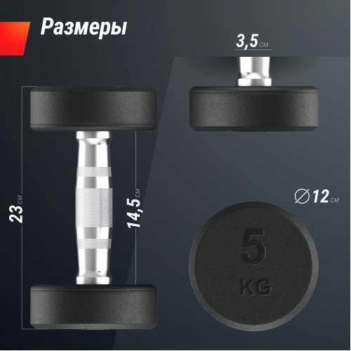 Гантель UNIX Fit PRO круглая обрезиненная 5 кг, 2 шт.