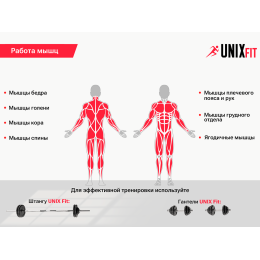 Скамья силовая со стойками UNIX Fit BENCH 120