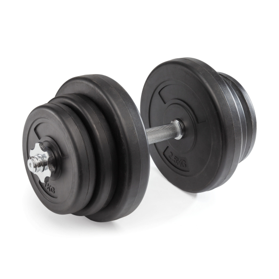 Диск 26 мм. пластиковый  10 кг VictoryFit VF-SPL26100
