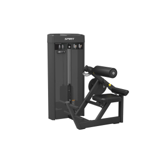 Разгибание спины Spirit SP-4310