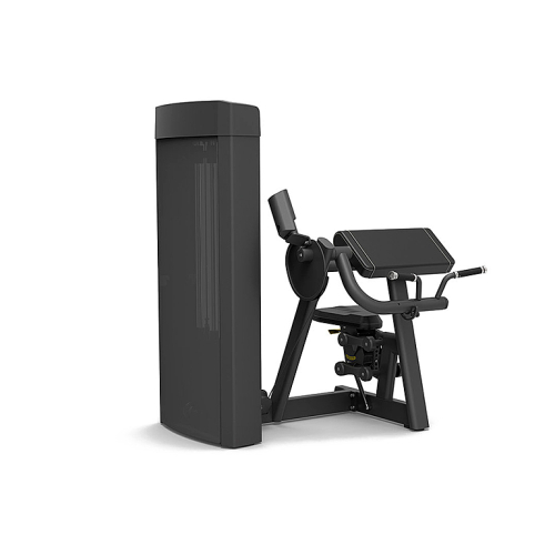Бицепс машина Spirit SP-4307