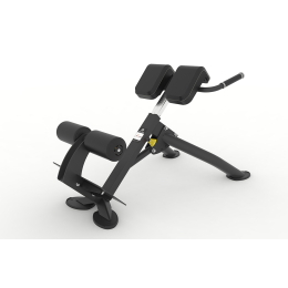 Гиперэкстензия под углом 45 градусов Spirit SP-4220