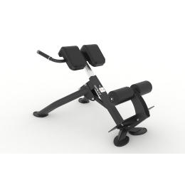 Гиперэкстензия под углом 45 градусов Spirit SP-4220