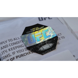 Брелок UFC (боксерская перчатка)