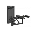 Сгибание ног лежа SPIRIT SP-4318