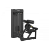 Разгибание спины Spirit SP-4310