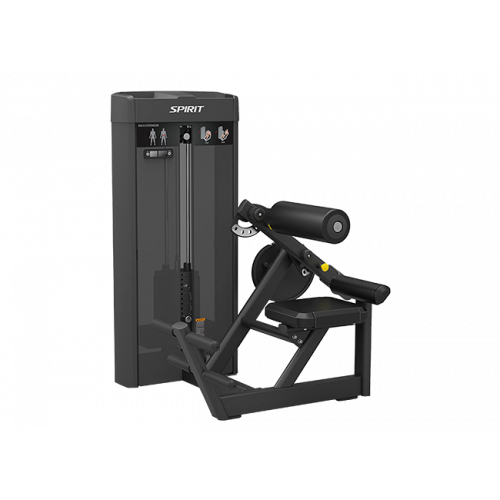 Разгибание спины Spirit SP-4310