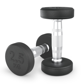 Гантель UNIX Fit PRO круглая обрезиненная 2,5 кг, 2 шт.