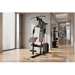 Мультистанция VictoryFit VF-H7001
