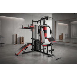 Мультистанция VictoryFit VF-HG7005