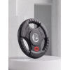Диск 31 мм. обрезиненный с 3-мя хватами  1,25 кг (2 штуки)   VictoryFit VF-S250125-2