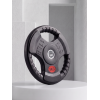 Диск 31 мм. обрезиненный с 3-мя хватами  5 кг (2 штуки)   VictoryFit VF-S250500-2