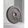 Диск 26 мм. пластиковый  1,0 кг (2 штуки)   VictoryFit VF-SPL260100-2