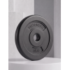 Диск 26 мм. пластиковый  5,0 кг (2 штуки)   VictoryFit VF-SPL26050-2
