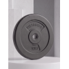 Диск 26 мм. пластиковый 10 кг (2 штуки)   VictoryFit VF-SPL26100-2