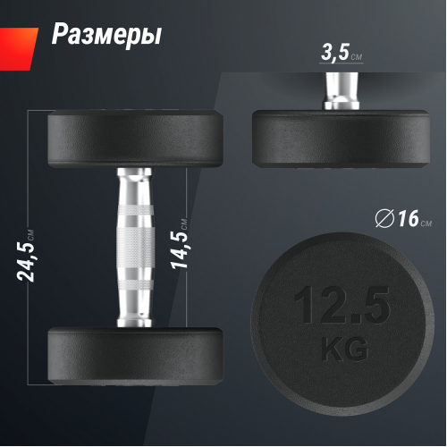 Гантель UNIX Fit PRO круглая обрезиненная 12,5 кг, 2 шт.