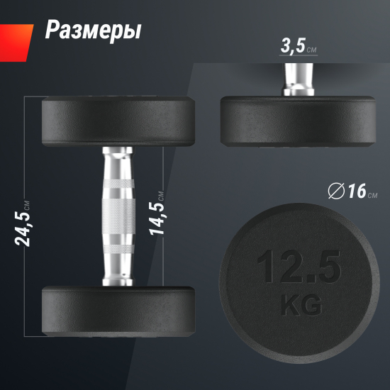Гантель UNIX Fit PRO круглая обрезиненная 12,5 кг, 2 шт.