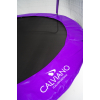 Батут пружинный с защитной сеткой Calviano 252 см - 8ft OUTSIDE master purple