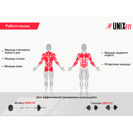 Скамья силовая универсальная UNIX Fit BENCH 110