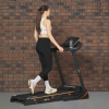 Royal Fitness RF-6 беговая дорожка