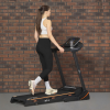 Royal Fitness RF-6 беговая дорожка