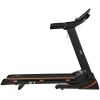 Royal Fitness RF-6 беговая дорожка